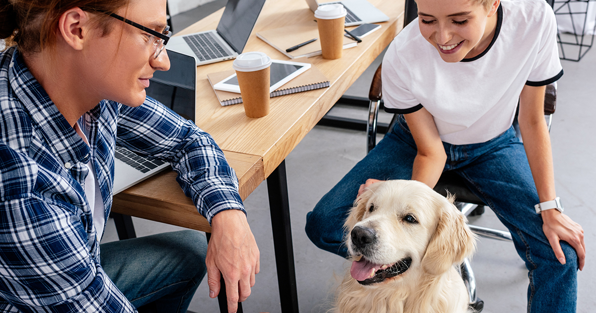 Nu kan videokonferenstjänster göra det enklare att ha hund på jobbet